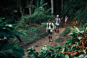 BIB: 
                            <button type="button" onclick="openModal(25825206)" class="btn btn-primary btn-sm float-right btn-popup" data-toggle="modal" data-target=".modal-high-quality">
                        <i class="fas fa-shopping-cart"></i> Add to Cart
                    </button>
                                            <button type="button" onclick="isThisMe(25825206, true)" class="btn btn-success btn-sm float-right btn-popup btn-isme hidden" data-toggle="tooltip" data-placement="bottom" title="นี่คือรูปของคุณใช่ไหม คลิกที่นี่เพื่อเอาเข้าอัลบั้ม">
                        <i class="fas fa-plus"></i> Add to album
                    </button>
                    <button type="button" onclick="isThisMe(25825206, false)" class="btn btn-warning btn-sm float-right btn-popup btn-isnotme hidden">
                        <i class="fas fa-ban"></i> Remove from album
                    </button>